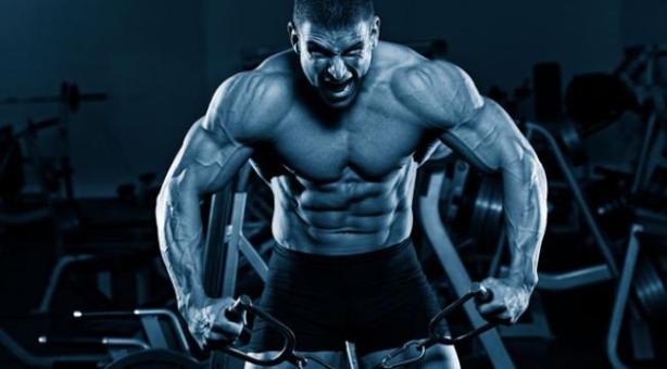 strength-moves_main_4_0