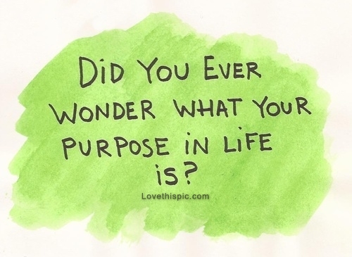 25625-Did-You-Ever-Wonder-What-Your-Purpose-In-Life-Is-